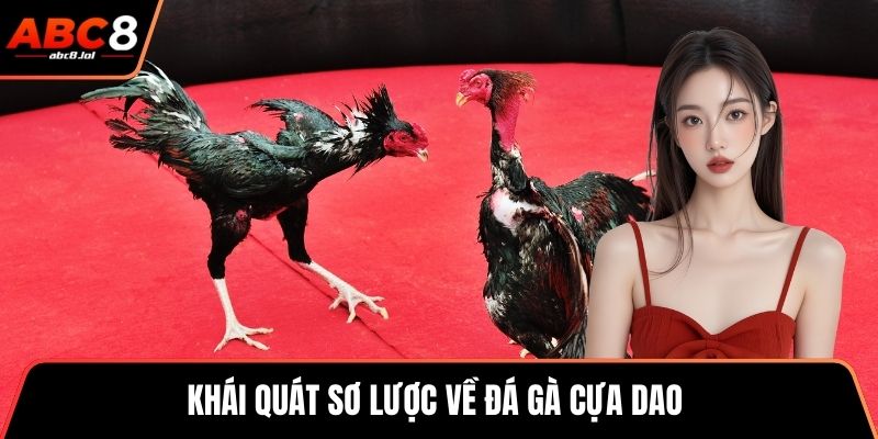 Đá Gà Cựa Dao – Trận Đấu Của Những Chiến Kê Dũng Mãnh Khái quát sơ lược về đá gà cựa dao thú vị