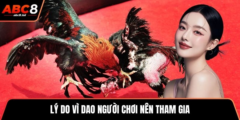 Đá Gà Thomo - Trò Chơi Kết Hợp Chiến Thuật Và Kỹ Năng Lý do vì dao người chơi nên tham gia