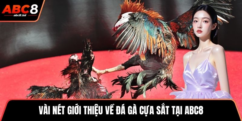 Vài nét giới thiệu về đá gà cựa sắt tại ABC8