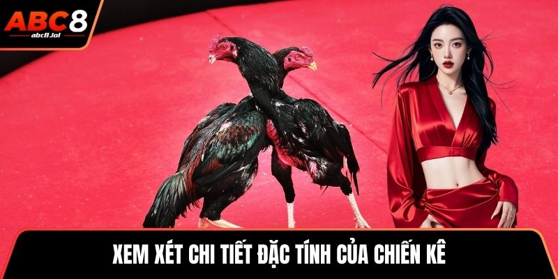 Đá Gà Cựa Dao – Trận Đấu Của Những Chiến Kê Dũng Mãnh Xem xét chi tiết đặc tính của chiến kê